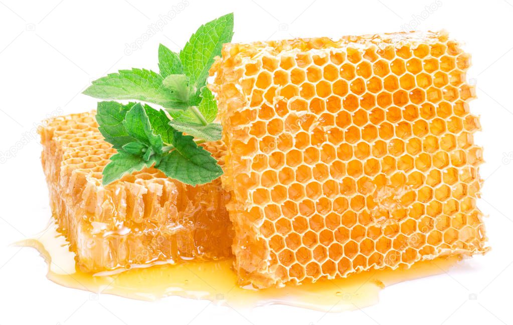 Honeycomb and mint. High-quality picture.