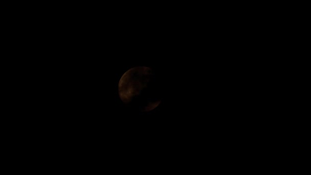 Volle Maan Beweegt Door Nachtelijke Hemel Door Wolken — Stockvideo