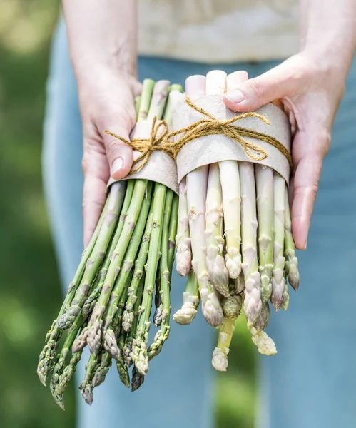 Bundle of white and green asparagus in famer\'s hands.