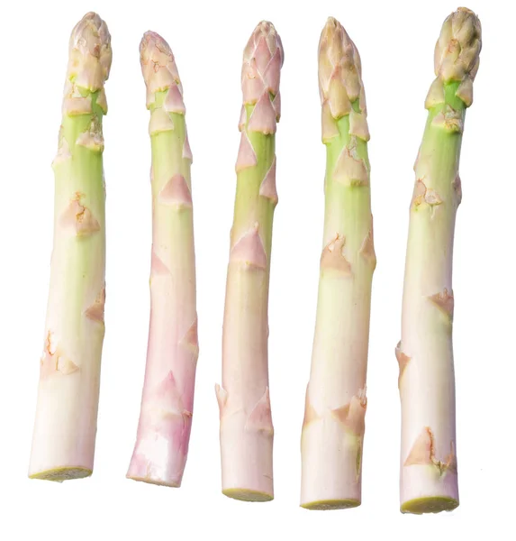 Bianco asparagi freschi germogli sfondo bianco . — Foto Stock