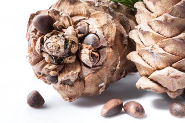 Çam fıstığı koniler ve çam fıstığı beyaz arka plan üzerinde. Organik fo