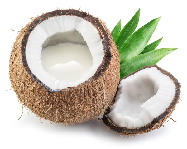 Kokosnoot vrucht vol met kokosmelk. — Stockfoto