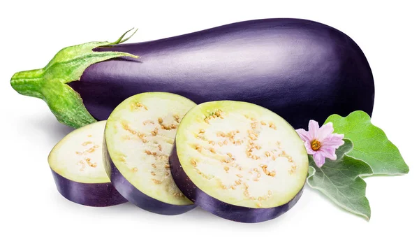 Patlıcan ya da patlıcan patlıcan çiçek ve yaprak beyaz ile — Stok fotoğraf