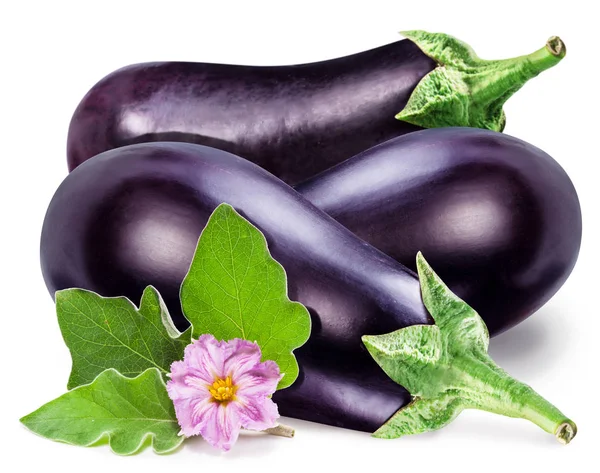 Aubergines or eggplants  with aubergine flower and leaves on whi — Stock Photo, Image