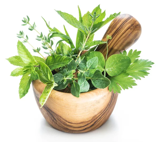 Different fresh green herbs in the wooden mortar. — Stock Photo, Image