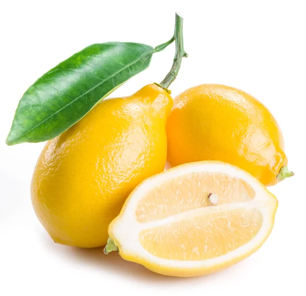 Frutas maduras de limón sobre el fondo blanco . — Foto de Stock