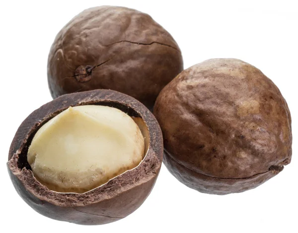 Macadamianötter eller bush nötter isolerad på vit bakgrund. — Stockfoto