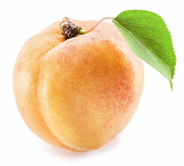 Aprikosenfrucht mit Blatt auf weißem Hintergrund. — Stockfoto