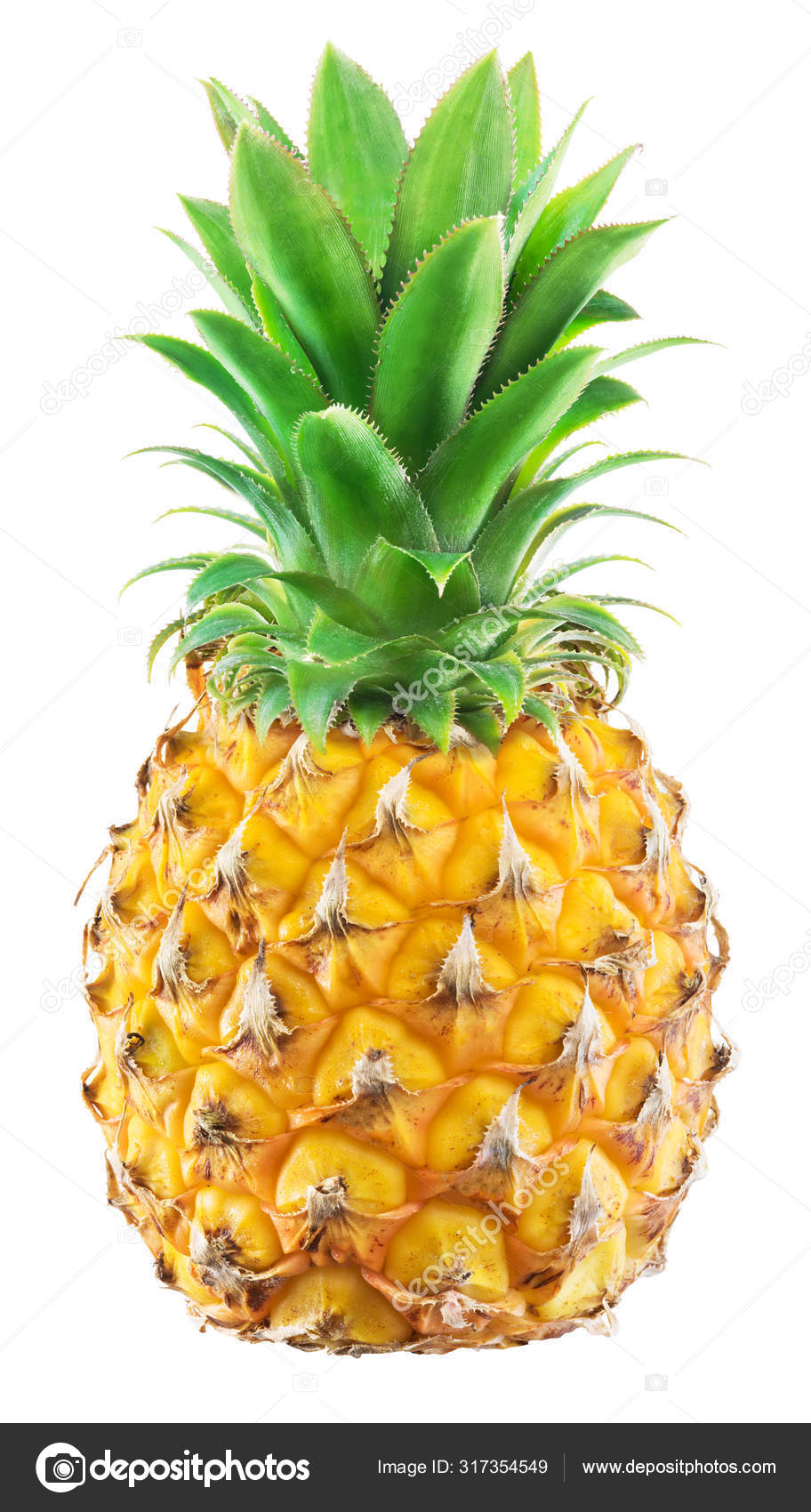 Fruto de abacaxi maduro isolado sobre fundo branco . — Foto ©  Valentyn_Volkov #317354549, image size:912x1700