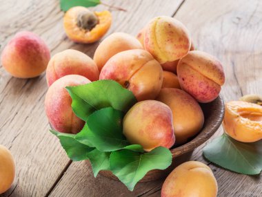 Bahçede meyve bahçesi ağacında olgun kayısı.