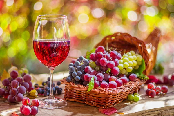 Őszi csendélet érett különböző szőlőfajtákkal. — Stock Fotó