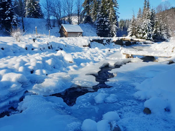 Piękny zimowy krajobraz. Zielone jodle, drewniany dom pokryte WIT — Zdjęcie stockowe