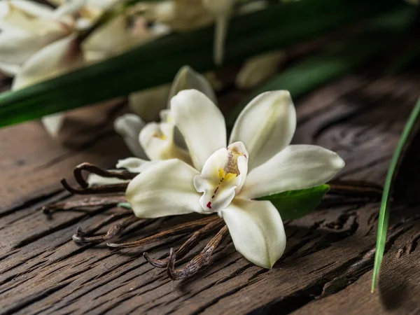 木桌上的干香草棒和香草兰花. — 图库照片