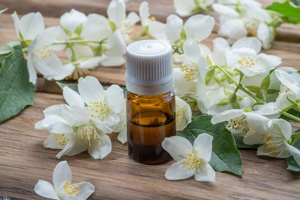 Tender jasmijn bloemen en jasmijn olie close-up op houten backgr — Stockfoto