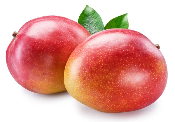 Due frutti interi di mango con foglia di mango su fondo bianco. Cl — Foto Stock