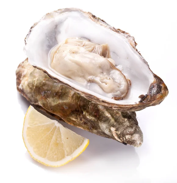 Raw oyster and lemon on a whte background. — Stock Photo, Image