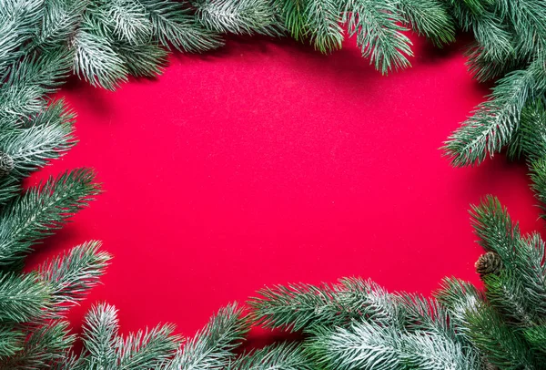 Ano Novo vermelho ou fundo de Natal com arenque ramo de abeto nevado — Fotografia de Stock