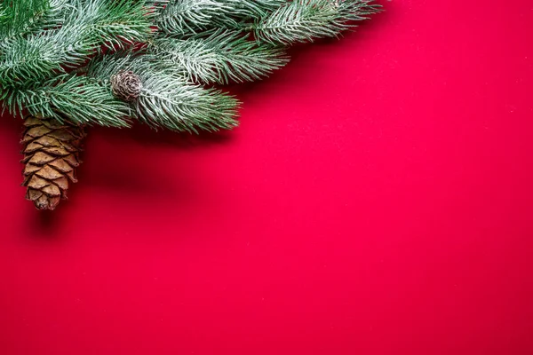 Rött nytt år eller jul bakgrund med gran gren täckt med kvicksilver — Stockfoto