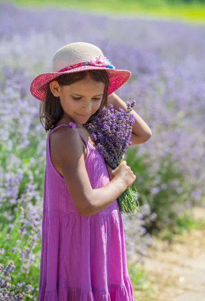 Portrait of little girl with bunch of lavender in her hand in th — Stock Photo, Image