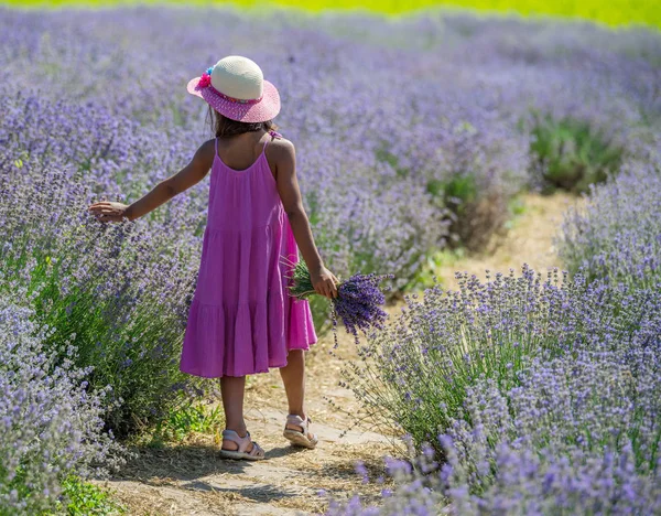 Jolie petite fille marchant dans le champ de lavande en fleurs et g — Photo