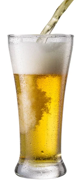Fehér alapon izolált sörösüveg. — Stock Fotó