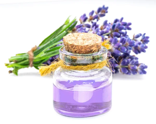 Manojo de lavanda y aceite esencial de lavanda sobre fondo blanco — Foto de Stock