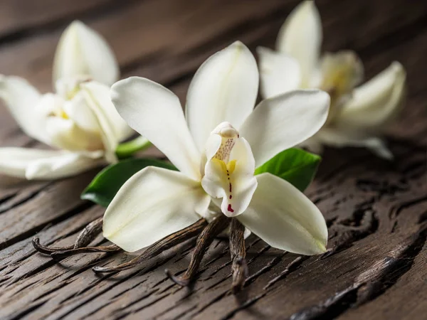 Bastoncini di vaniglia essiccati e orchidea vaniglia sul tavolo di legno . — Foto Stock