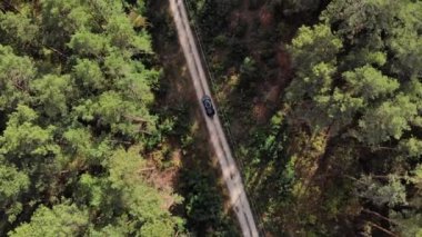 Çam ormanındaki bir kır yolu boyunca siyah bir arabayı takip ediyor. 4k drone video çekimi.