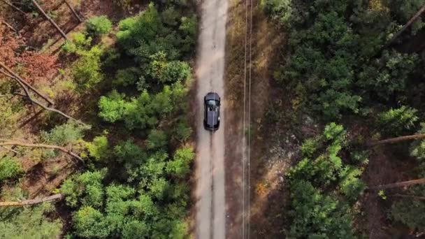 空中トップダウン 松の森の中の国の道路に沿って黒い車の後 4Kドローンビデオ撮影 — ストック動画