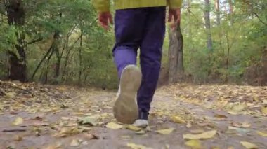 Güzel bir sonbahar ormanında koşan bir kızın arkasında yer üstünde bir hareketlilik var. 4k drone görüntüsü.