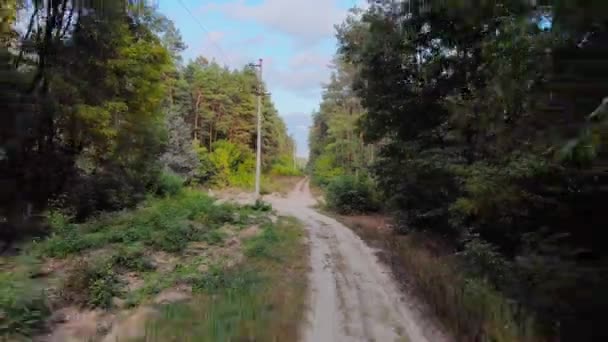 Subir Seguir Longo Uma Estrada Rural Com Uma Floresta Pinheiros — Vídeo de Stock