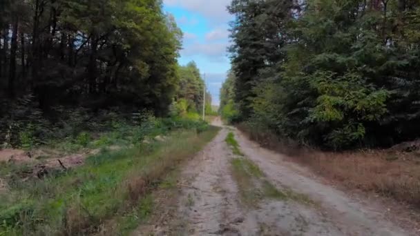 Montez dans les airs et suivez une route rurale avec une forêt de pins sauvages. Images de drone aérien 4K .