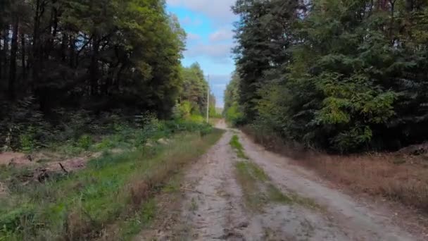 Subir Seguir Longo Uma Estrada Rural Com Uma Floresta Pinheiros — Vídeo de Stock