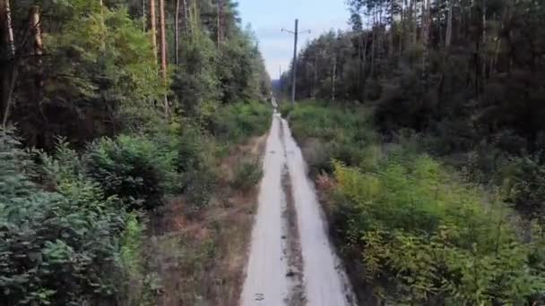 Salire Aria Seguire Una Strada Rurale Con Una Pineta Selvaggia — Video Stock