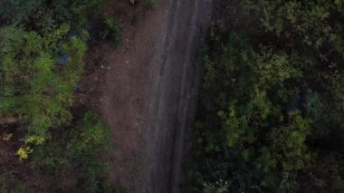 Güzel bir çam ormanının üzerinden kalkış. Köyün aşağısında bir kız var.       