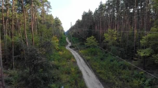 Subir Seguir Longo Uma Estrada Rural Com Uma Floresta Pinheiros — Vídeo de Stock