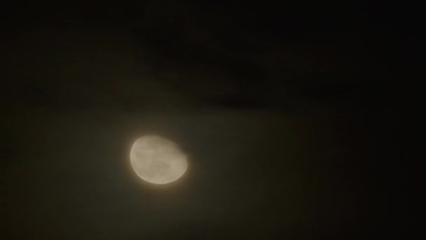 Luna Incompleta Mueve Través Del Cielo Nocturno Acompañada Pequeñas Nubes — Vídeo de stock