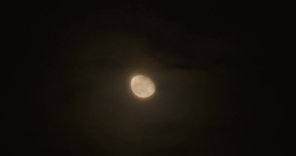 Неполная Луна Движется Ночному Небу Сопровождении Маленьких Облаков — стоковое видео