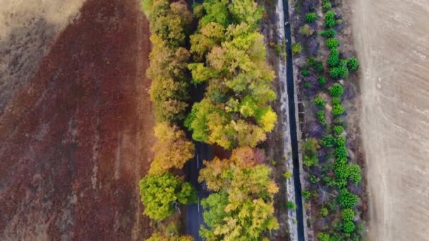 Letecký Výhled Shora Sledující Silnici Lese Drone Video Natáčení — Stock video