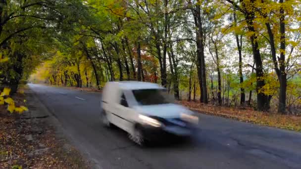 在美丽的秋天森林上方的空中移动的道路 Ar很快就过去了 4K无人驾驶飞机镜头 — 图库视频影像