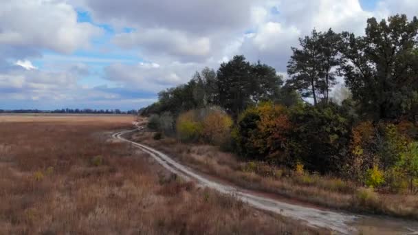 乌克兰传统的草原秋田景观 多云的一天 带着树木飞过田野 — 图库视频影像