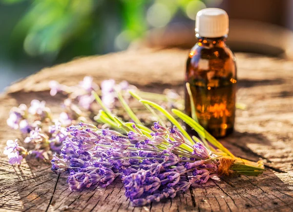 Bando de flores de lavandula ou lavanda e garrafa de óleo estão na — Fotografia de Stock