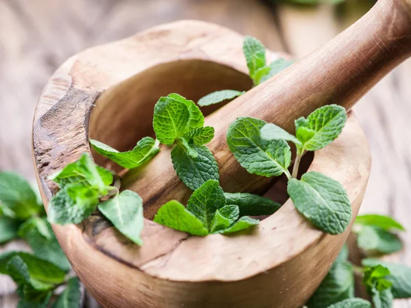 Menta fresca, argamassa de madeira e pilão . — Fotografia de Stock