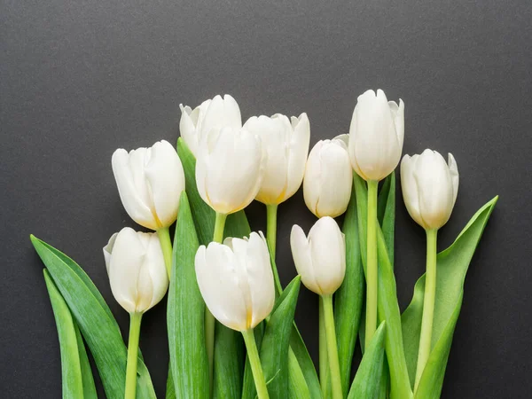 Witte Tedere Tulpen Donkere Grijze Achtergrond Bovenaanzicht — Stockfoto