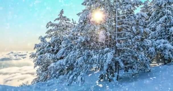 Långsamt Fallande Snö Bakgrund Vacker Vinter Snöiga Landskap — Stockvideo