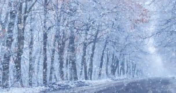 Neve Che Cade Lentamente Uno Sfondo Bellissimo Paesaggio Montano Invernale — Video Stock