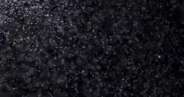 Spadające Płatki Śniegu Odizolowane Czarnym Tle Dużo Padającego Chaotycznego Śniegu — Wideo stockowe