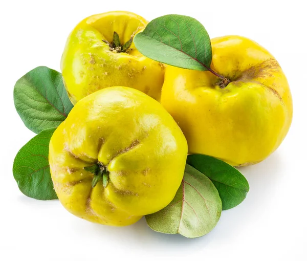 Zralé Zlatožluté Quince Plody Izolované Bílém Pozadí Malá Skupina Ovoce — Stock fotografie