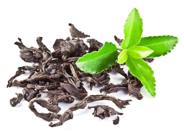 Getrocknete Teeblätter Mit Frischen Grünen Teeblättern Isoliert Auf Weißem Hintergrund — Stockfoto