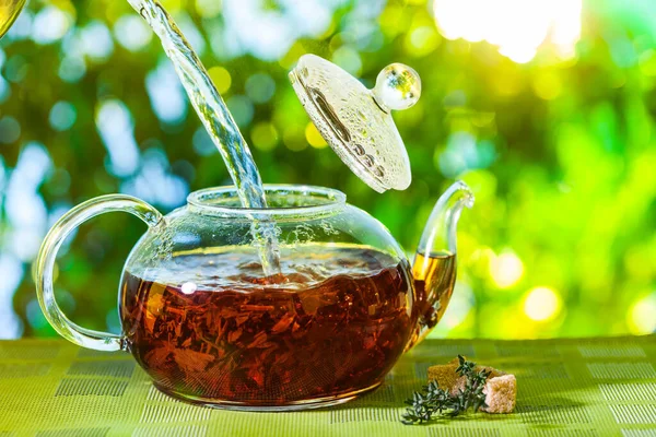 Čaj Obřad Nalévání Čaje Konvice Šálku Čaje Pozadí Krásné Přírody — Stock fotografie